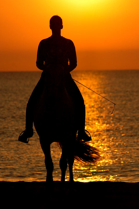 sunrise ride