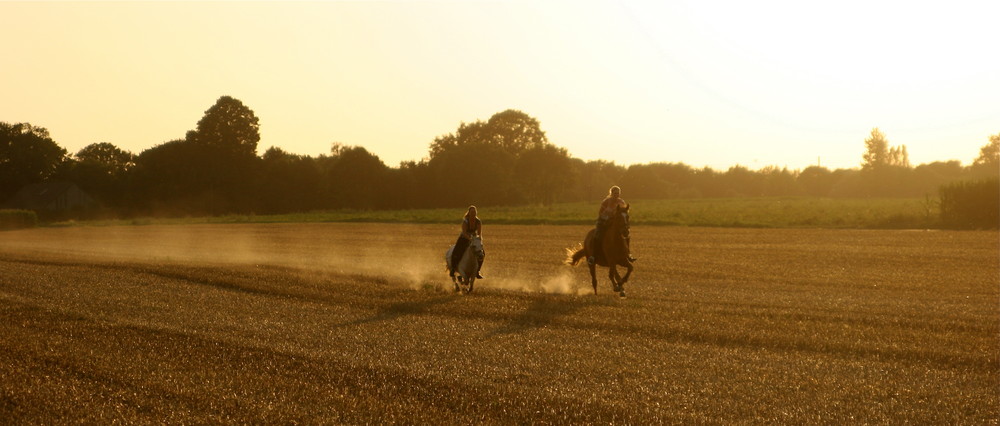 Sunrise Riding