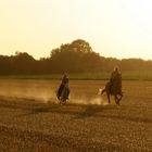 Sunrise Riding