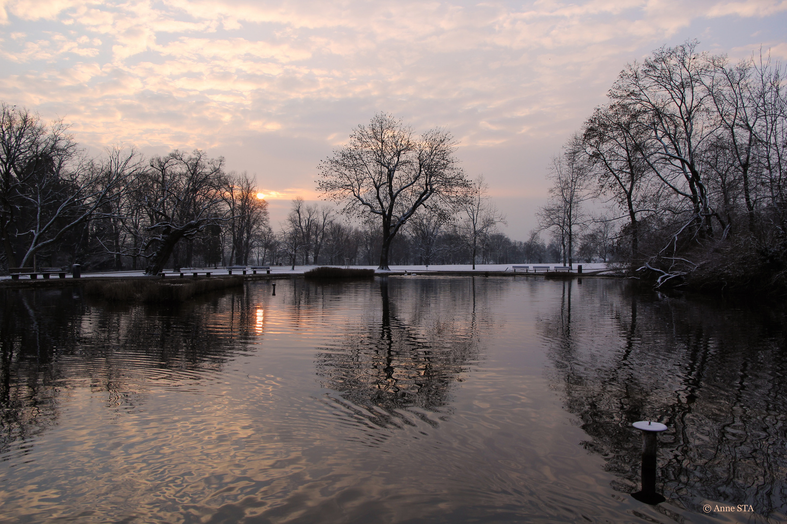 Sunrise Rosensteinpark