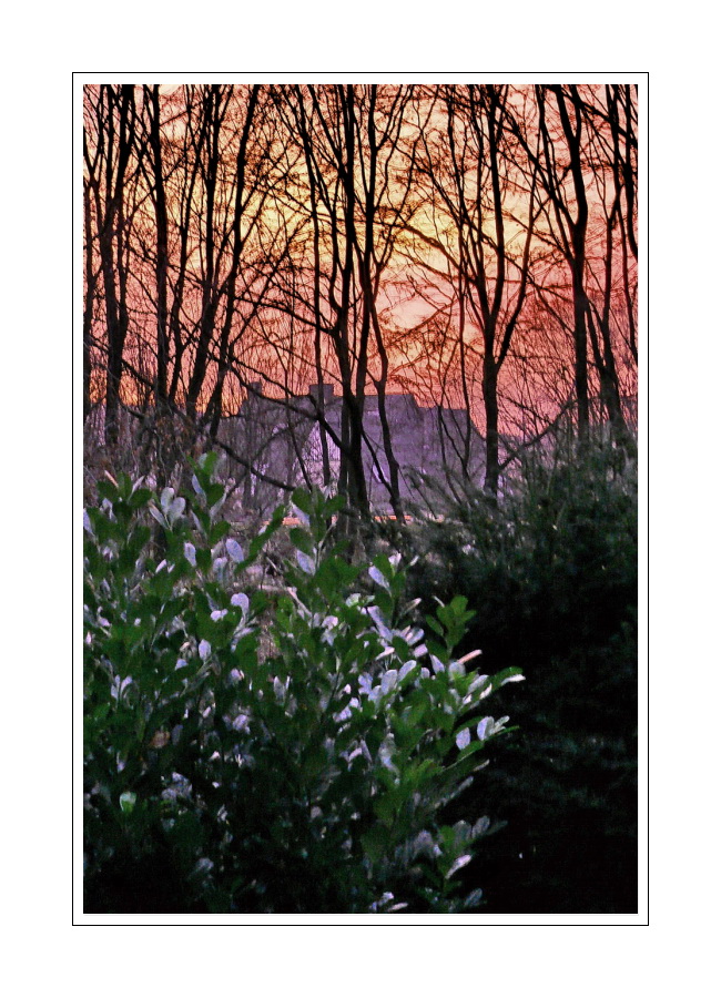 Sunrise seen from 'Dichterviertel' (Wuppertal Hammerstein )