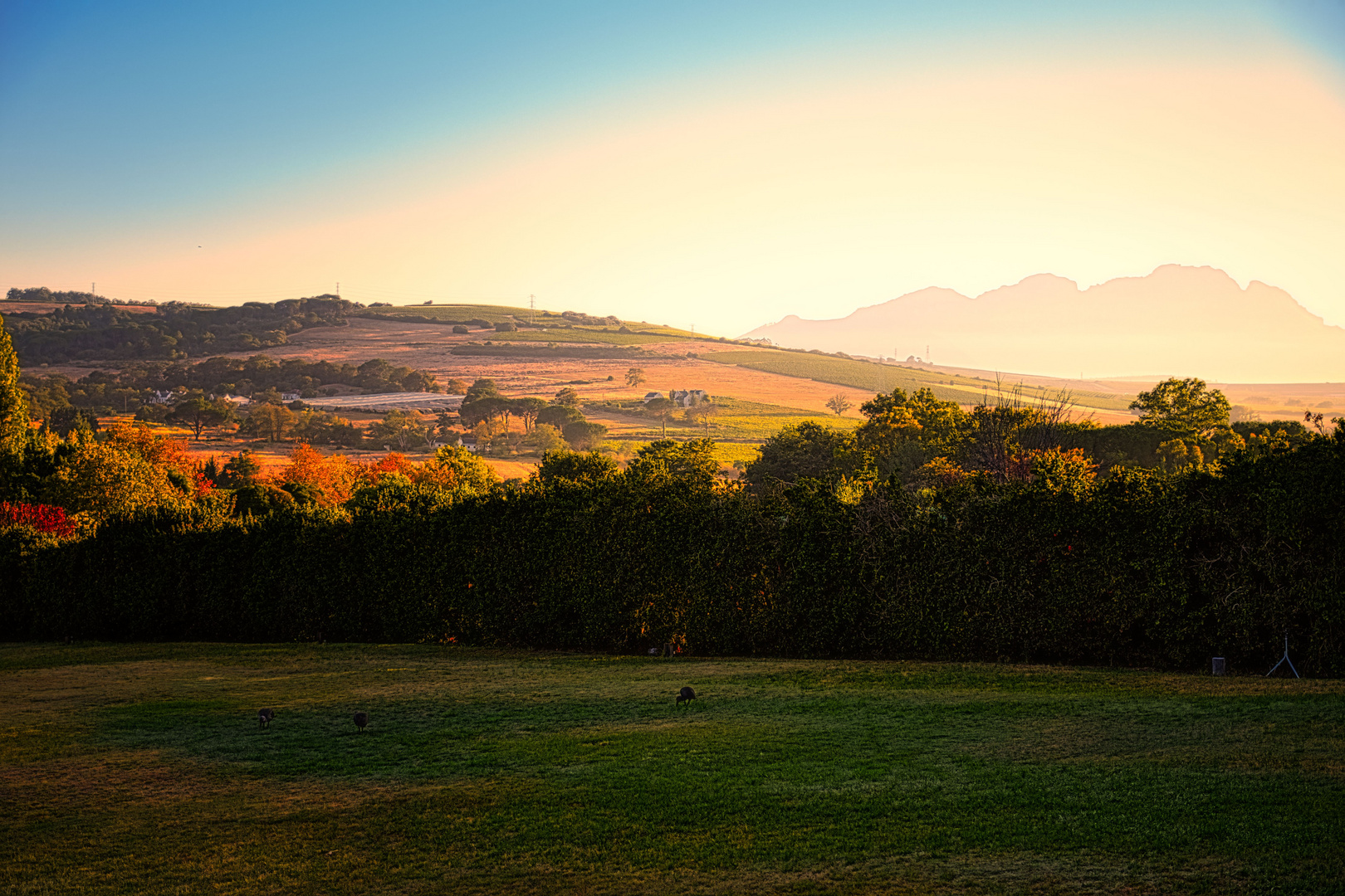 Sunrise Stellenbosch