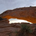 Sunrise @ The Mesa Arch (USA)