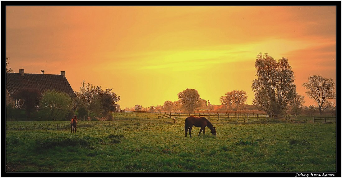 Sunrise this morning.