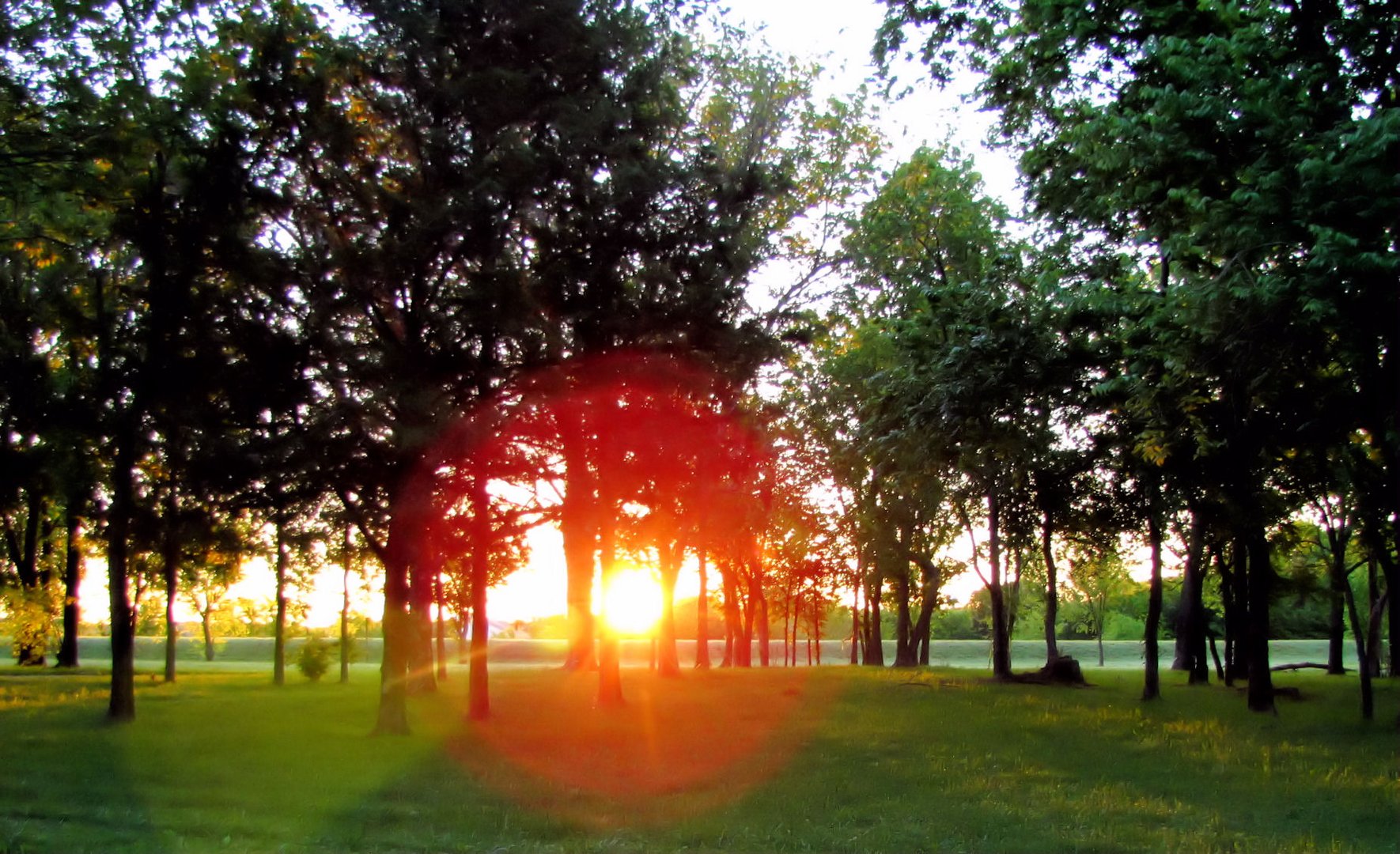 Sunrise Through The Trees