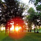 Sunrise Through The Trees