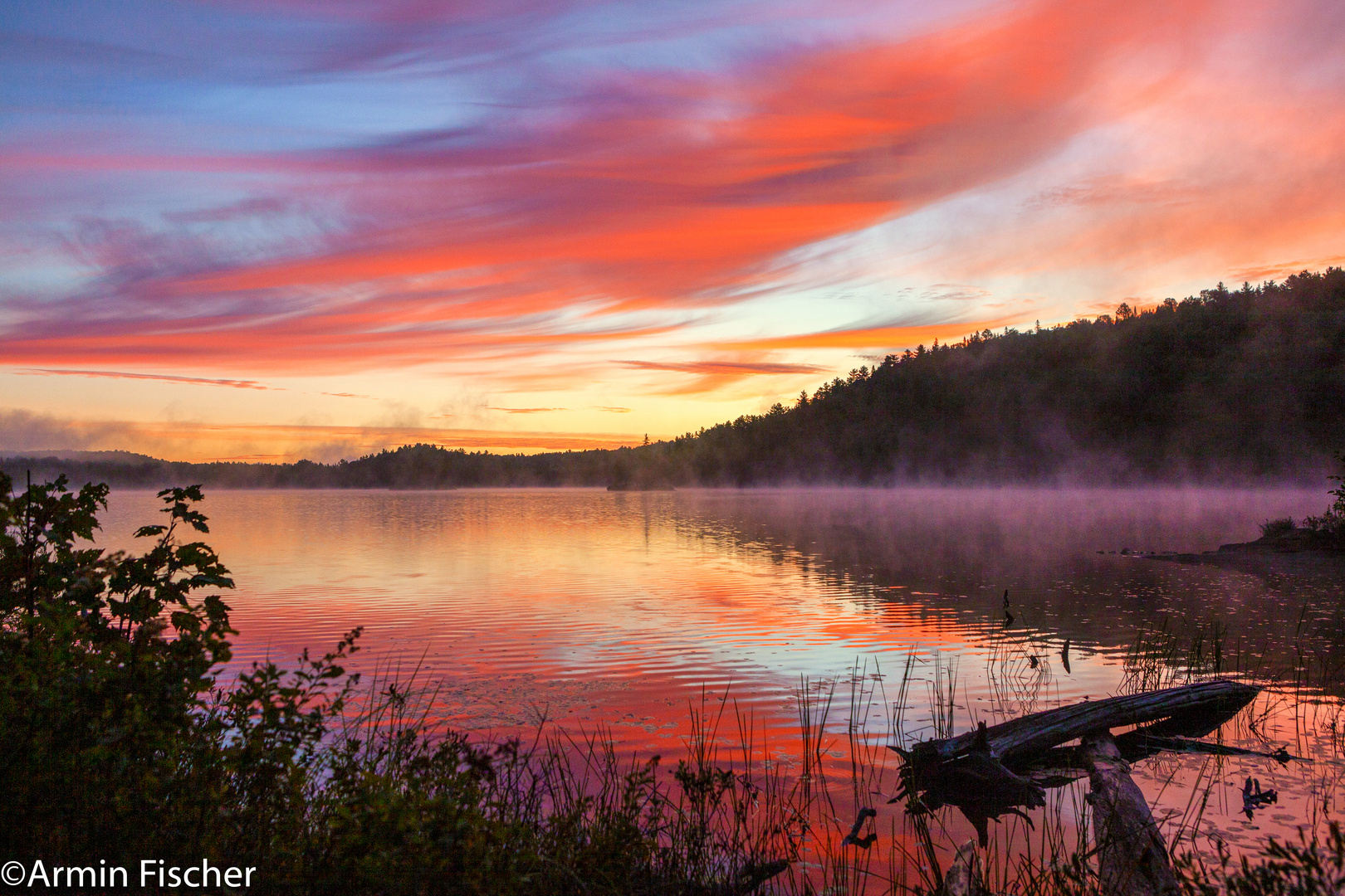 Sunrise Tom Thomson, Algonquin Park, Aug 2020