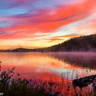 Sunrise Tom Thomson, Algonquin Park, Aug 2020