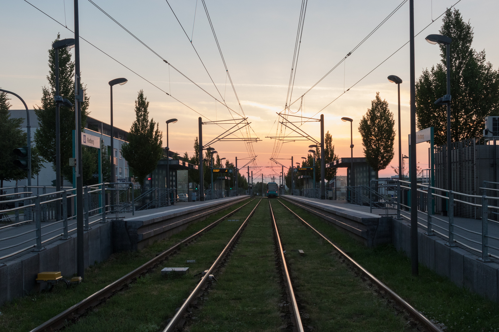 sunrise train