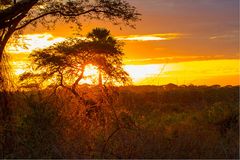 Sunrise über Murchison Falls