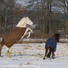 Sunrise und Lulu beim spielen