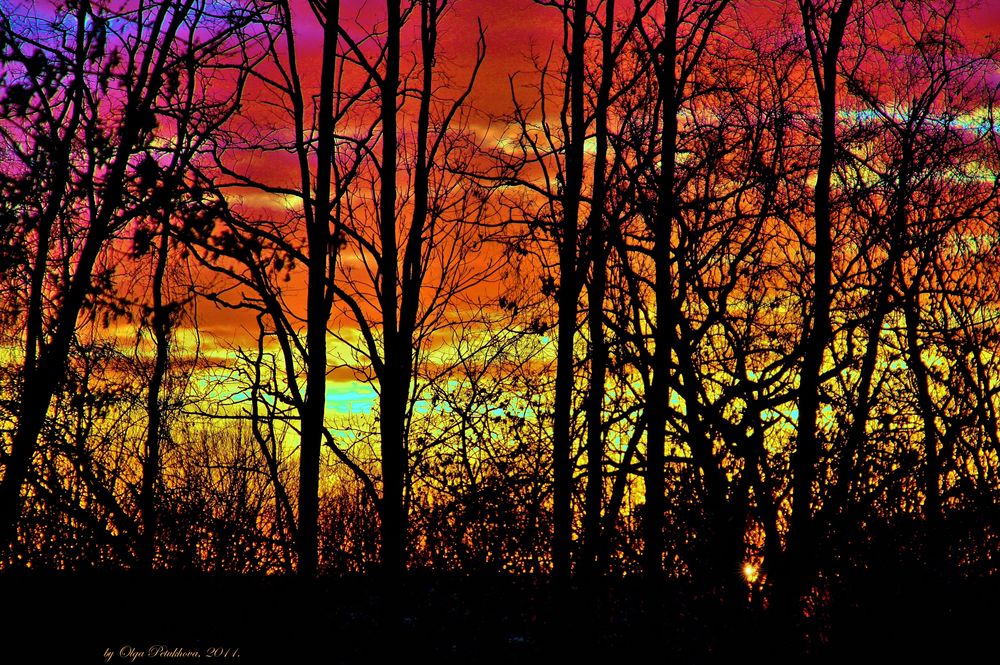 Sunrise View through our Kitchen Window ·