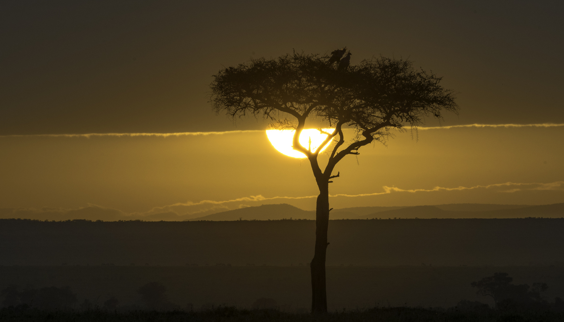 Sunrise vor einer Wolkendecke