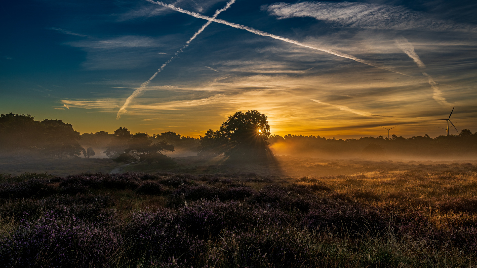 Sunrise @ Westruper Heide (August 2023)