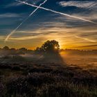 Sunrise @ Westruper Heide (August 2023)