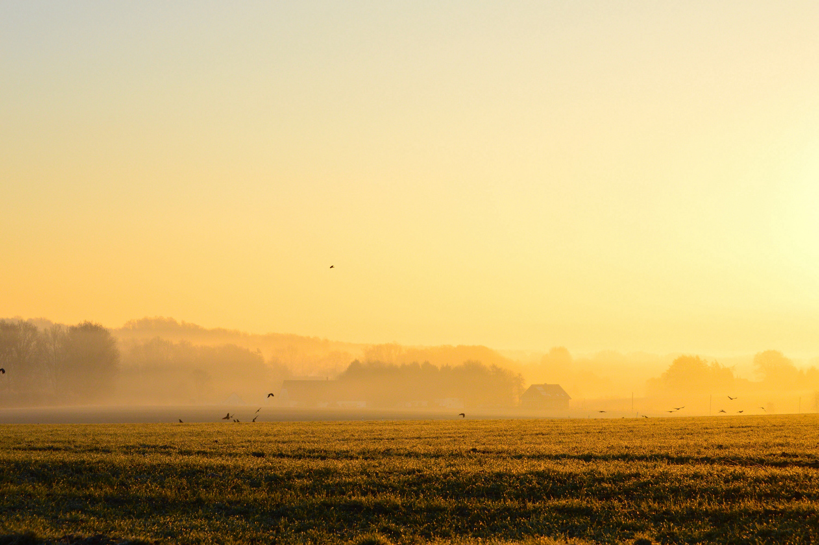 Sunrise with Fog