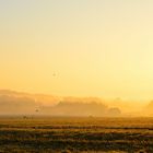 Sunrise with Fog