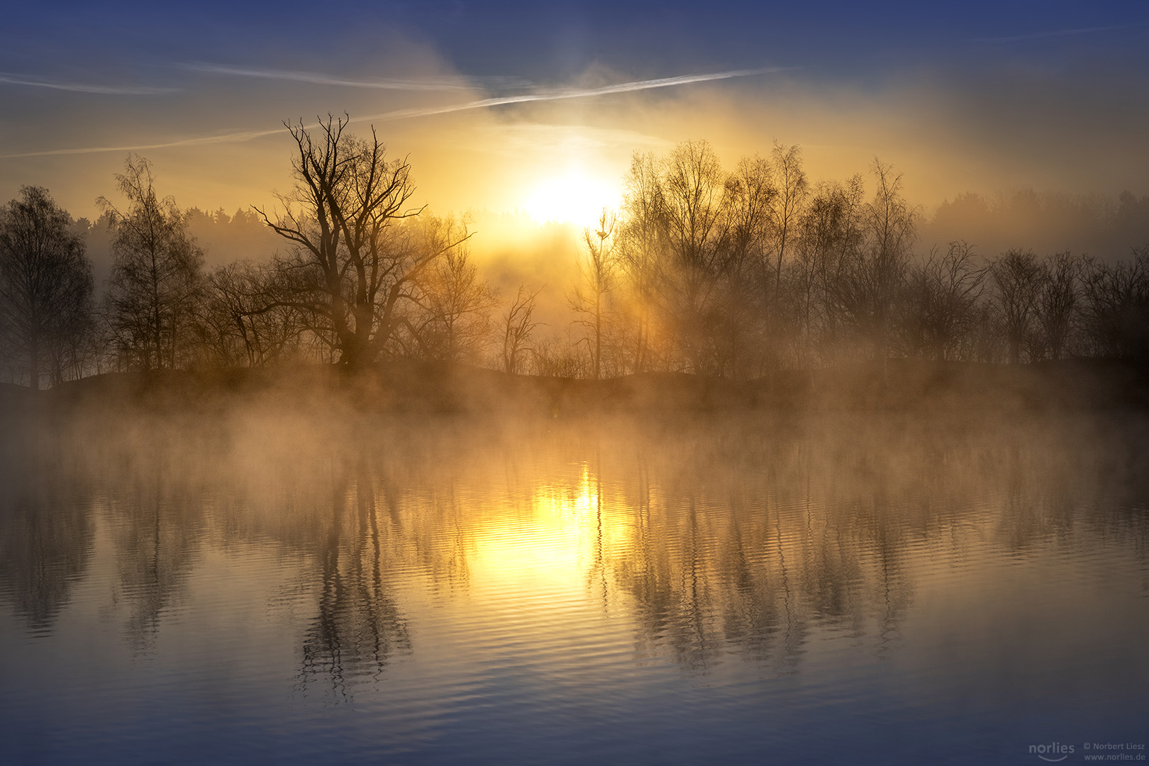 Sunrise with fog