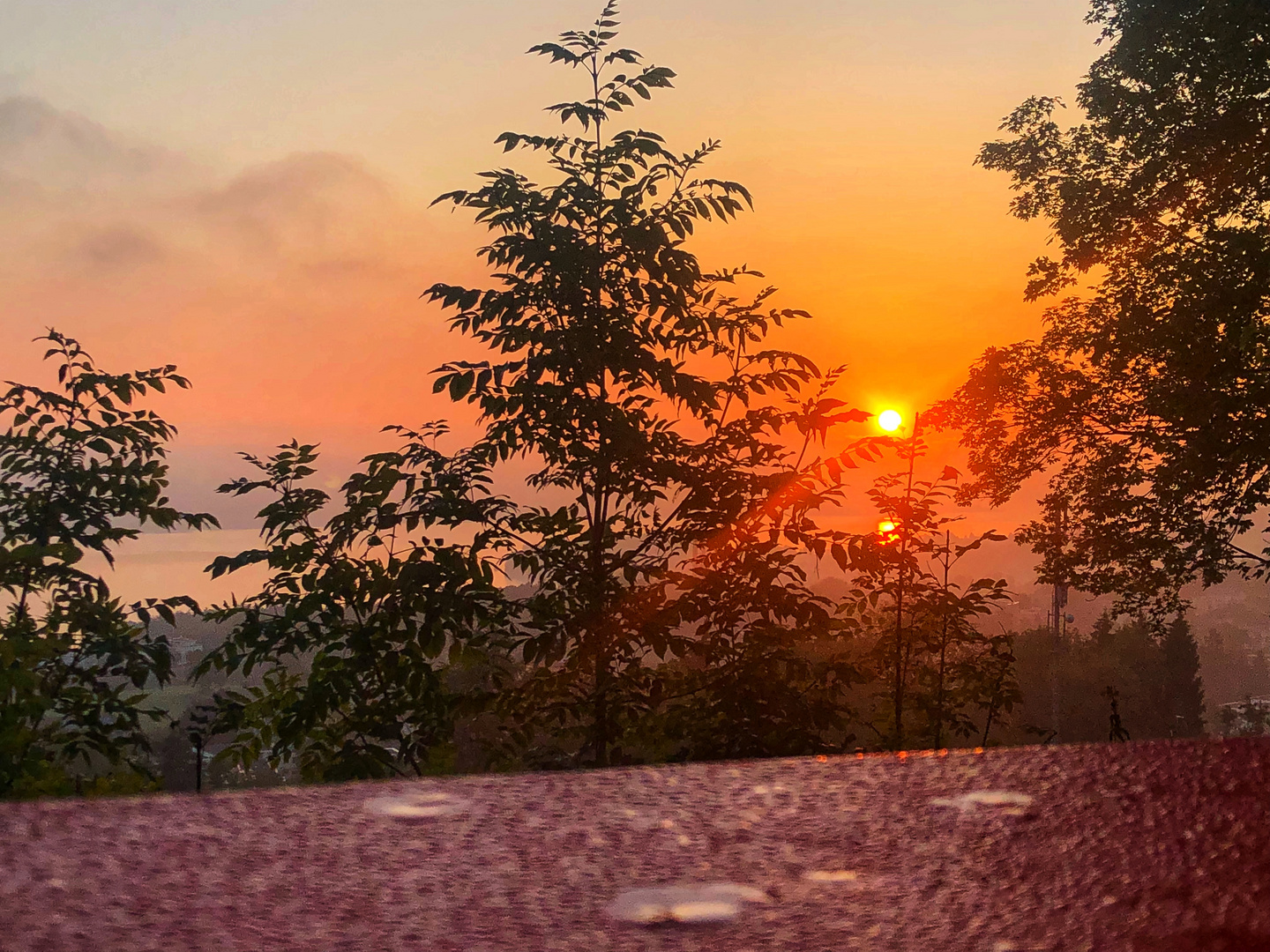 Sunrise Zürichsee Horgen