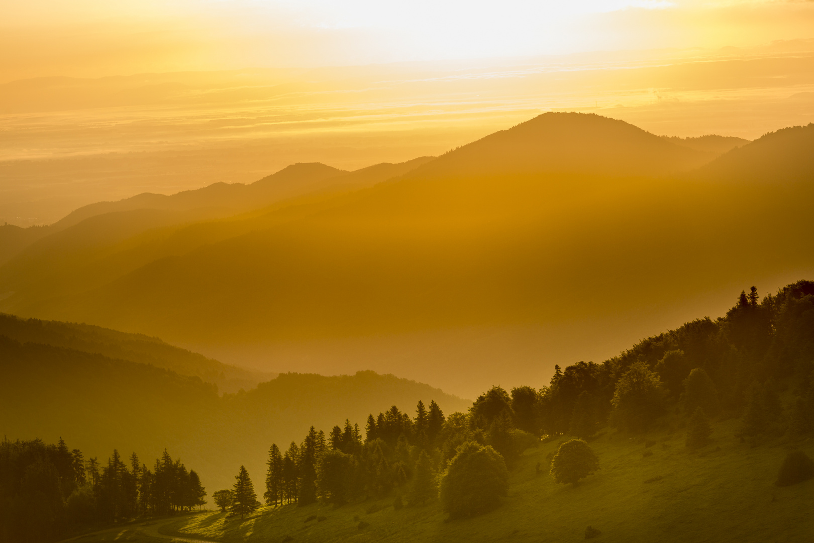 Sunrise:Alsace