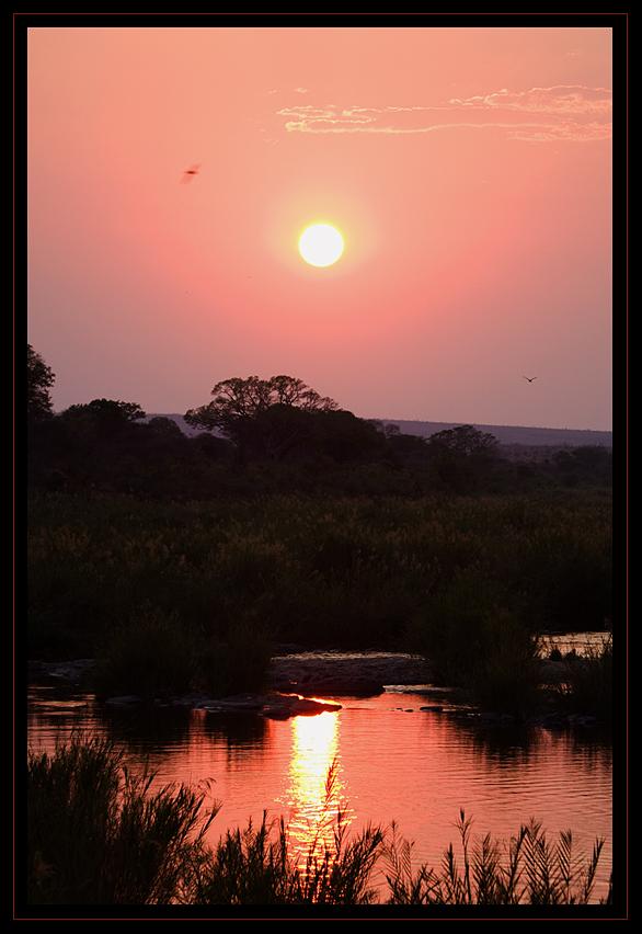 * Sunrise@Lower Sabie *