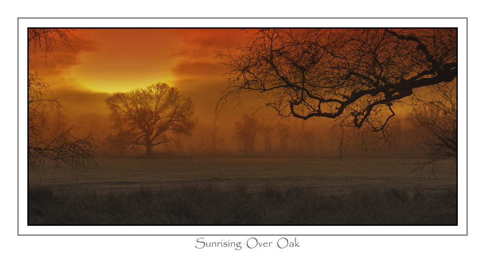 Sunrising Over Oak