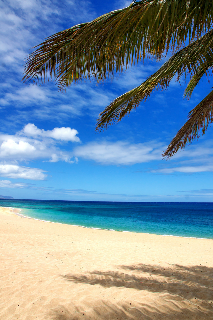 Sunseat beach Oahu