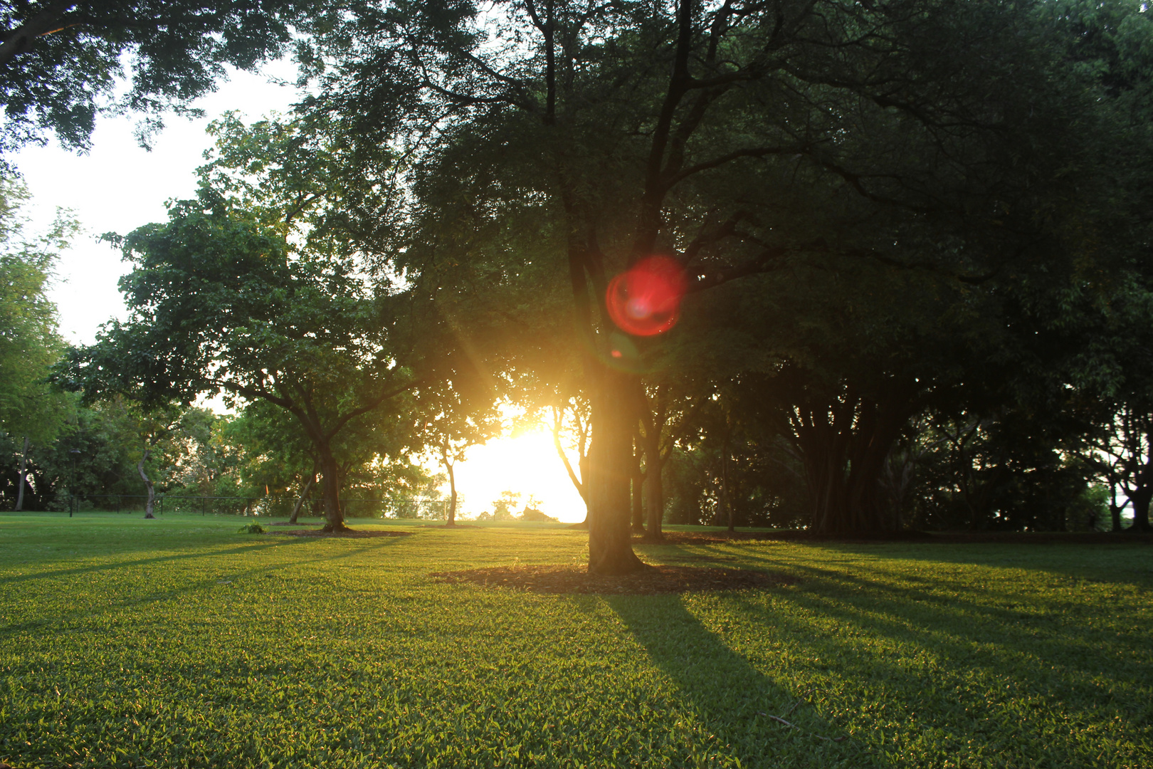 Sunsest, Darwin, Northern Territory, Australia, 28-11-2014 II