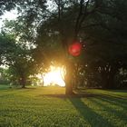 Sunsest, Darwin, Northern Territory, Australia, 28-11-2014 II