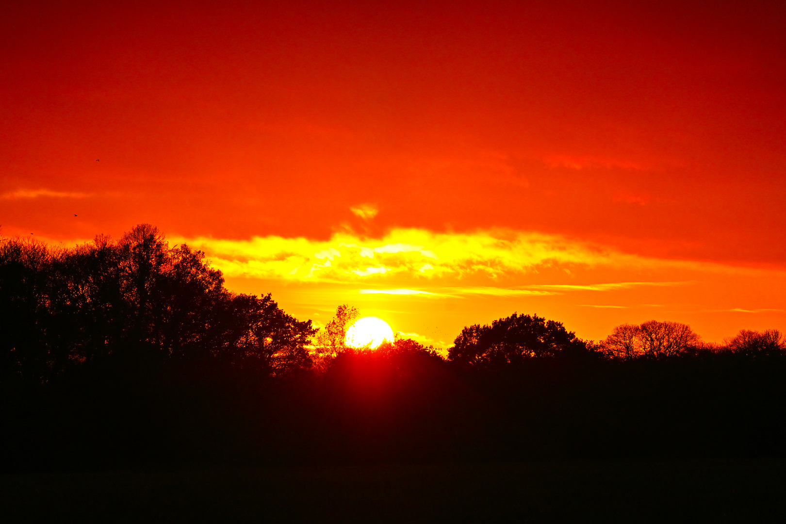 Sunset 23/11/23. Norfolk.