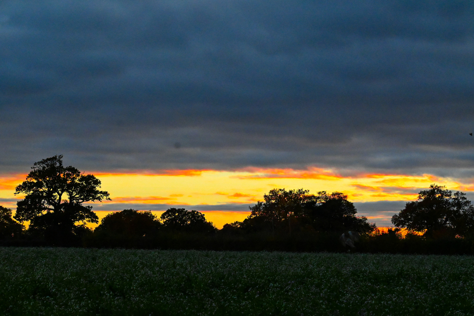 Sunset 23/11/23 Norfolk, England.