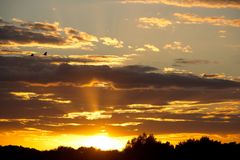 Sunset - 23rd August 2025 - image 5