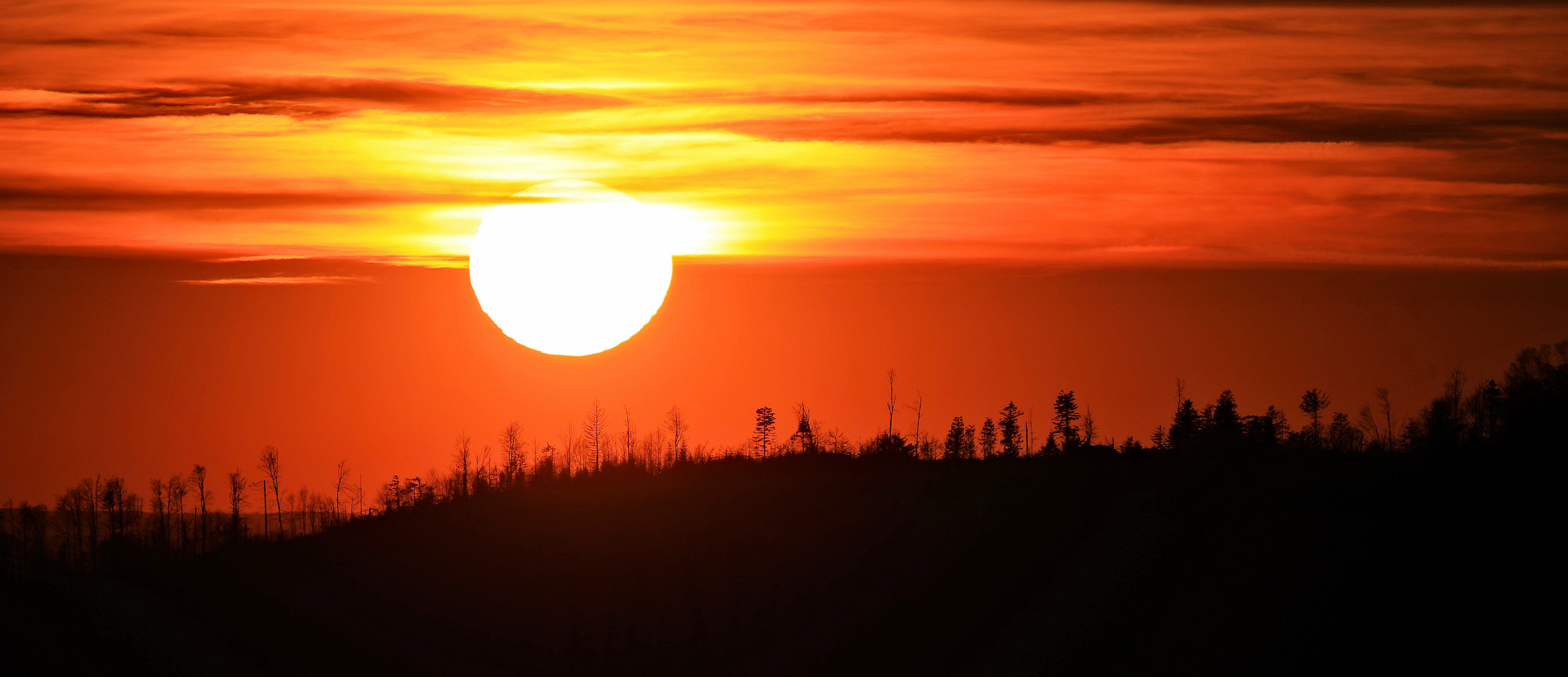 Sunset 500mm