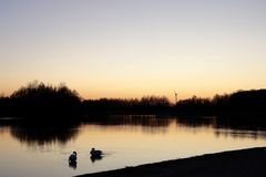 Sunset - 6th March 2025 - image 7