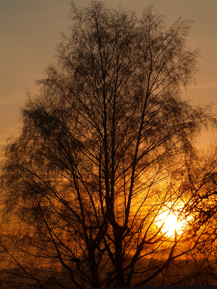 sunset von Romeokw 