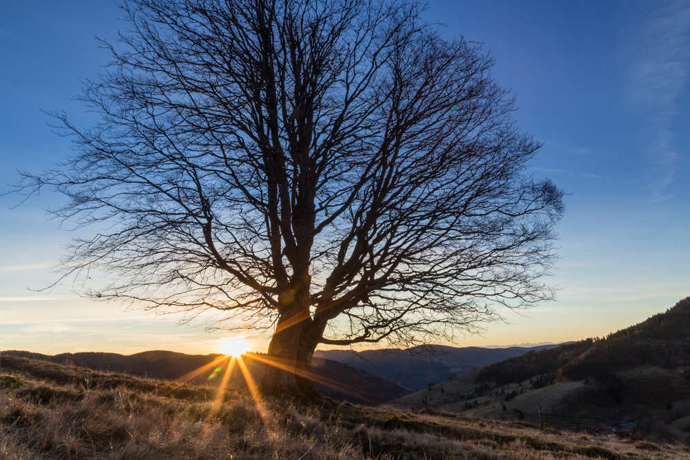 Sunset above Wieden