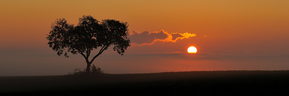 SUNSET AFRIKA