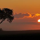 SUNSET AFRIKA