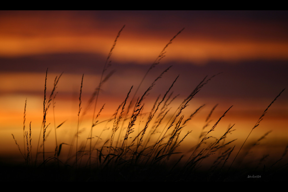 Sunset after a heavy thunderstorm