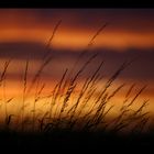 Sunset after a heavy thunderstorm