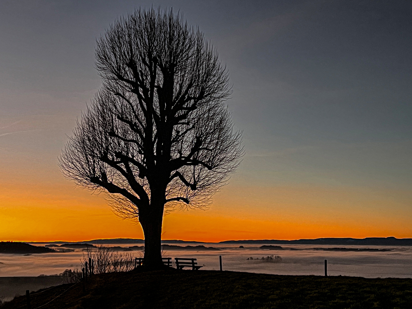 Sunset Ahorn im Emmental