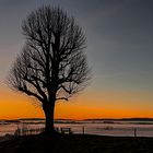 Sunset Ahorn im Emmental