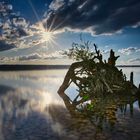 Sunset am Ammersee