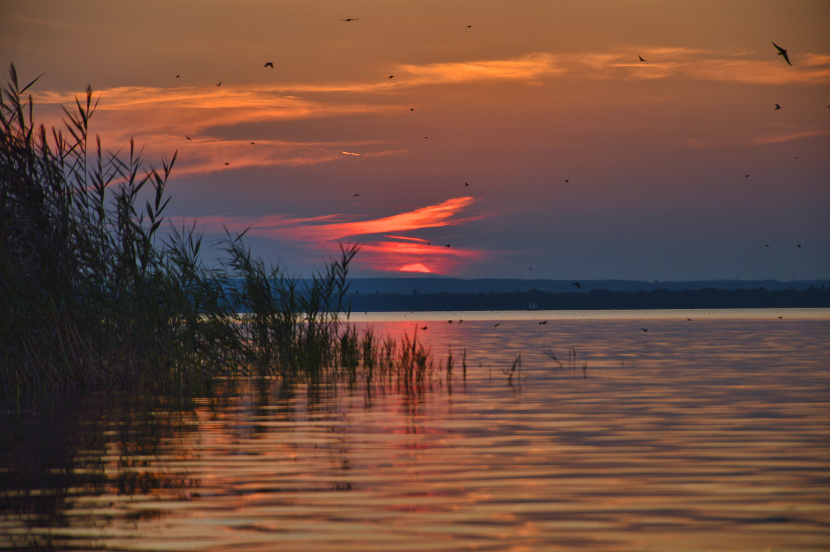 Sunset am Balaton