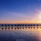 Sunset am Cable Beach in Broome | Australien