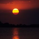 Sunset am Chobe River