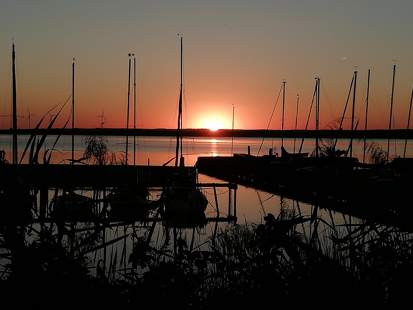 Sunset am Dümmer