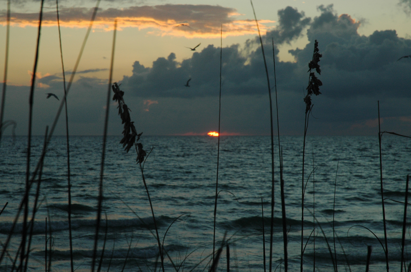 Sunset am Golf von Mexico