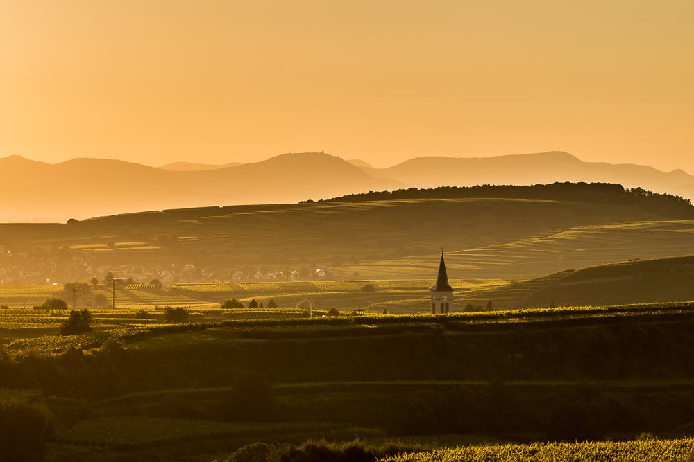 Sunset am Kaiserstuhl