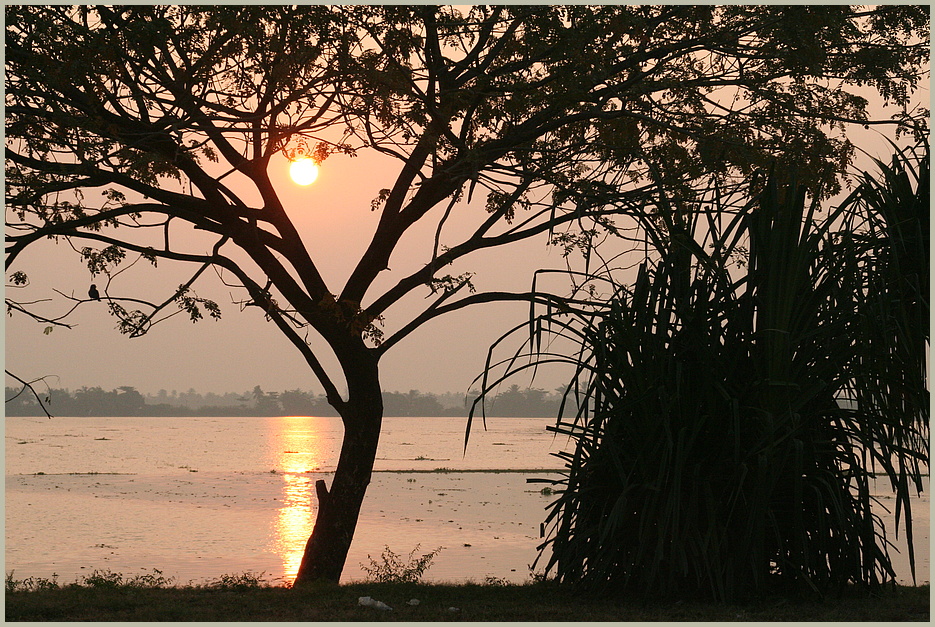 sunset am Kanal ... in Kerala